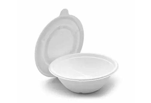 녹색 혁신: Bagasse 포장 재료의 다양성 녹색 혁신: Bagasse 포장 재료의 다양성