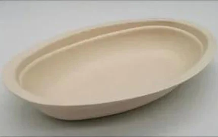 Compostable Sugarcane Bagasse 섬유 일회용 그릇