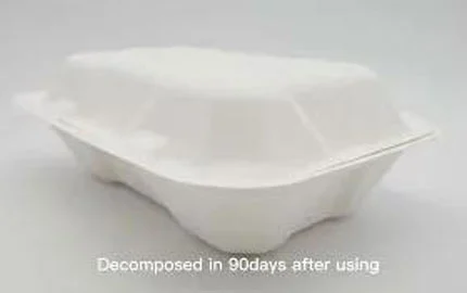 사탕 수수 Bagasse 일회용 생분해 성 850ml 클램 쉘 상자