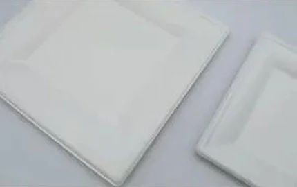 생분해 성 Bagasse 식물 섬유 일회용 라운드 플레이트