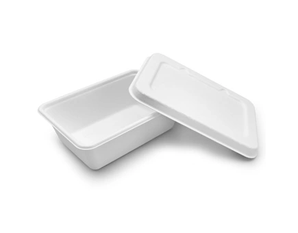 Bagasse Cutlery 도매: 비즈니스와 행성을위한 승리 Bagasse Cutlery 도매: 비즈니스와 행성을위한 승리